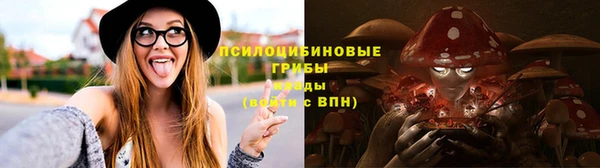 эйфоретик Беломорск