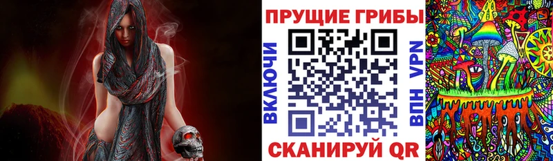 MEGA зеркало  цены наркотик  Верхняя Салда  Псилоцибиновые грибы мицелий 